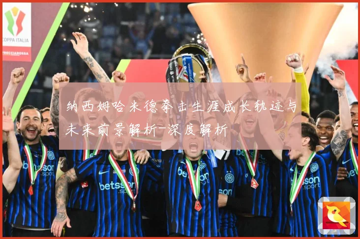 纳西姆哈米德拳击生涯成长轨迹与未来前景解析-深度解析